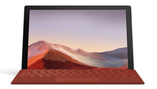 牧野清洁和维护 Surface